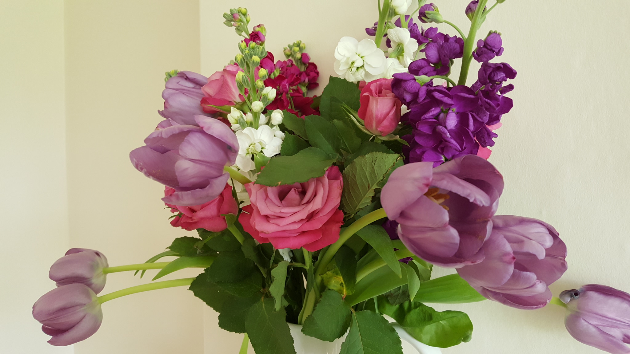 20170509_134845.jpg
